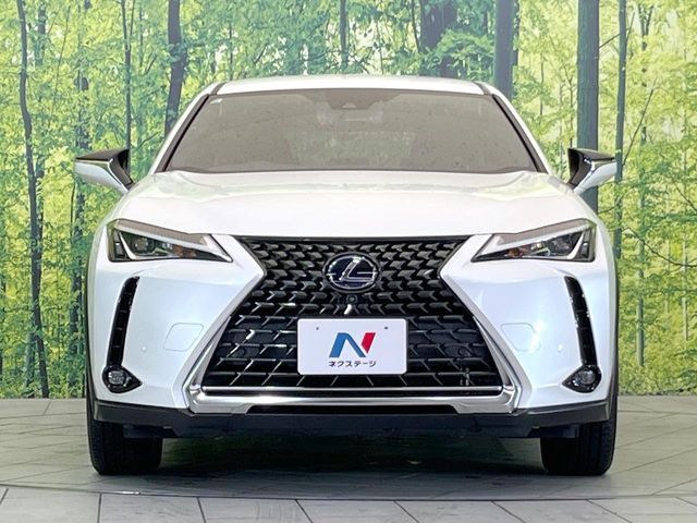 LEXUS UX250h