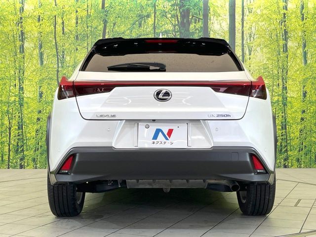 LEXUS UX250h