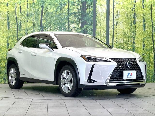 LEXUS UX250h