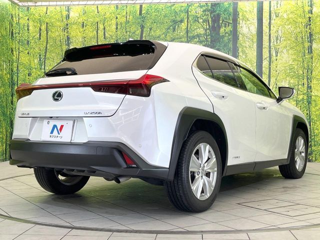 LEXUS UX250h