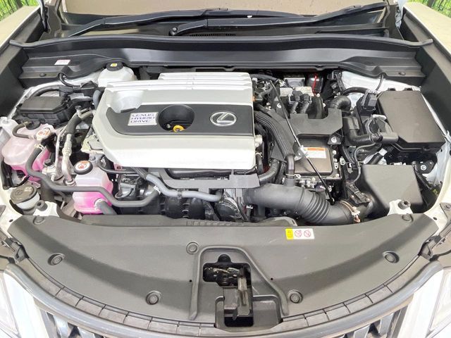 LEXUS UX250h