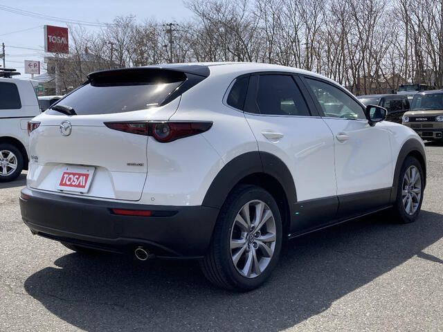 CX-30