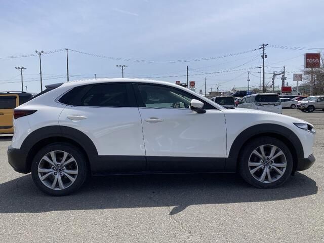CX-30