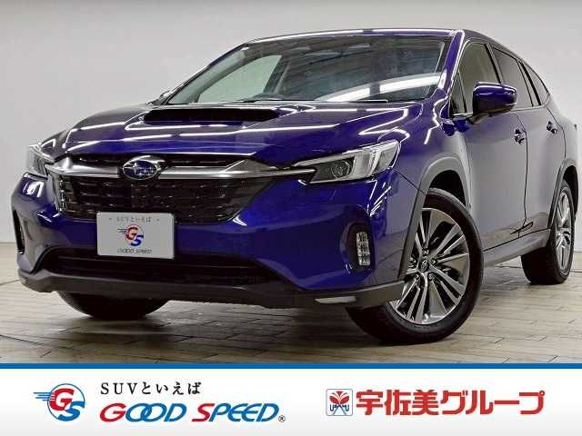 LEVORG LAYBACK