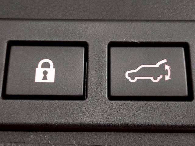 LEVORG LAYBACK