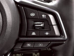 LEVORG LAYBACK