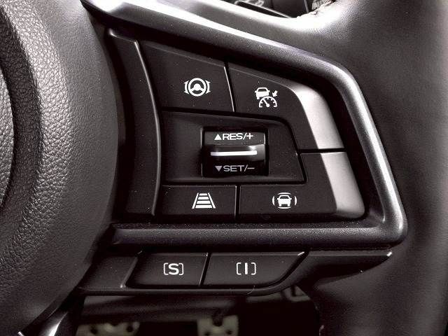 LEVORG LAYBACK