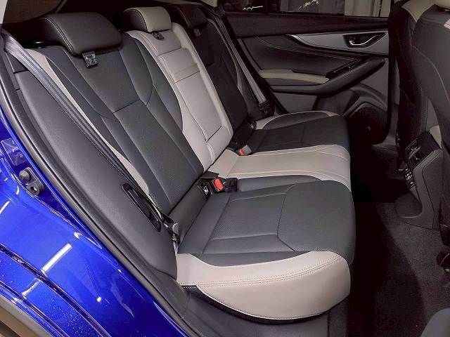 LEVORG LAYBACK