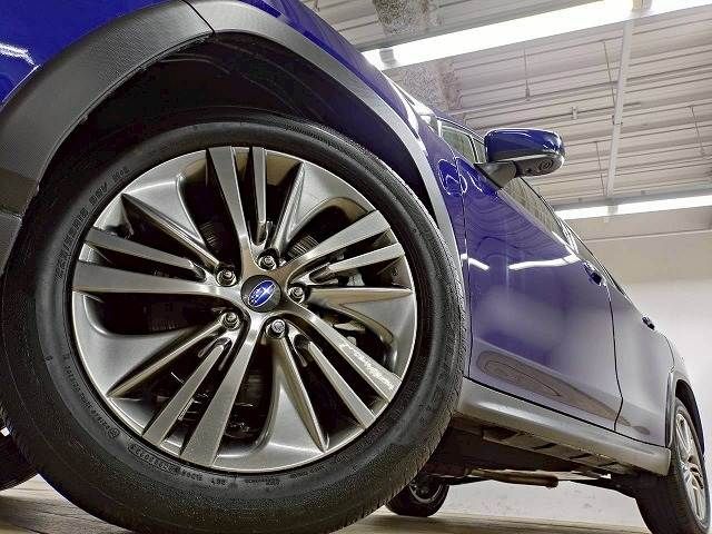 LEVORG LAYBACK
