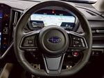 LEVORG LAYBACK