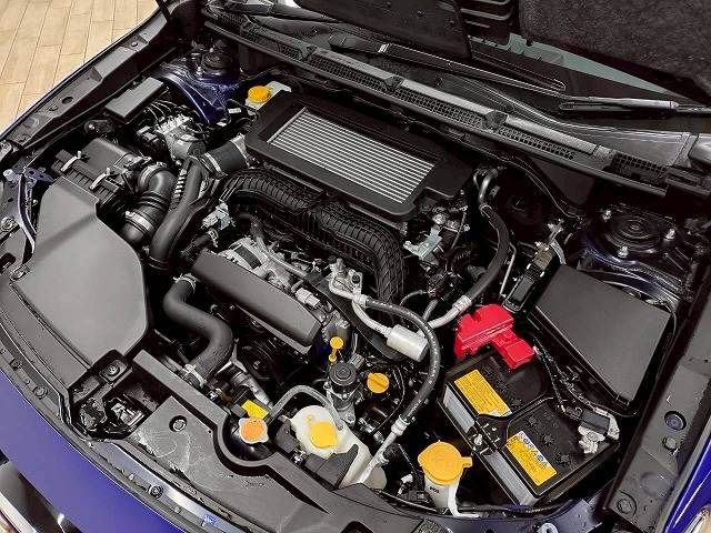 LEVORG LAYBACK