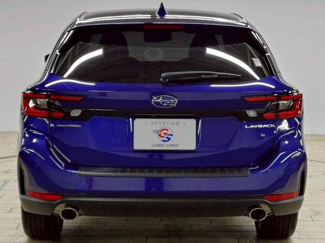 LEVORG LAYBACK