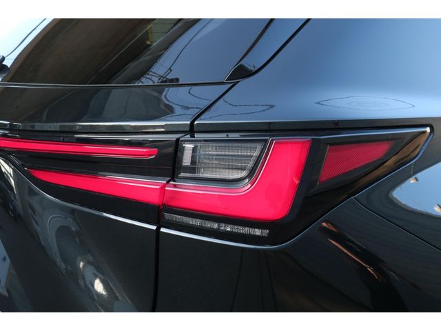 LEXUS NX350h