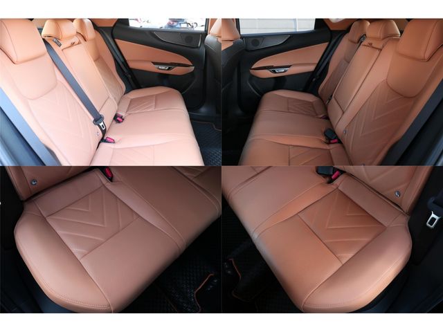 LEXUS NX350h
