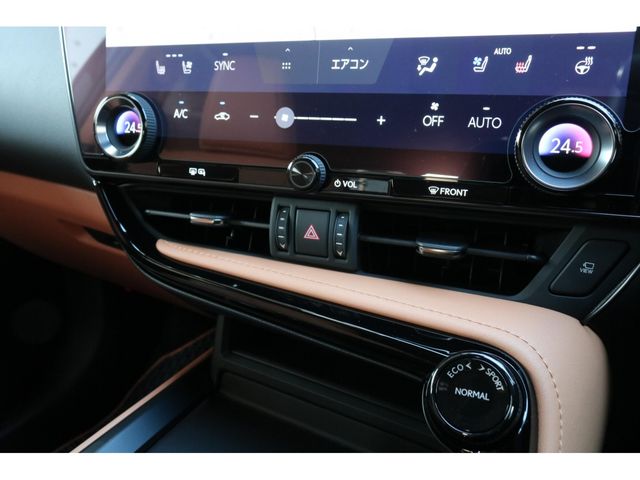 LEXUS NX350h