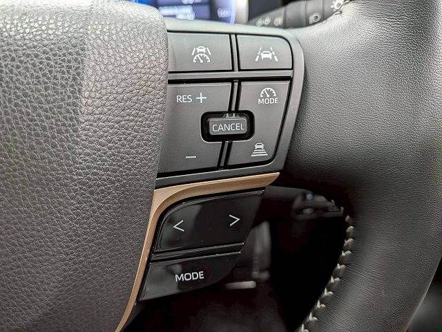 CROWN SPORT