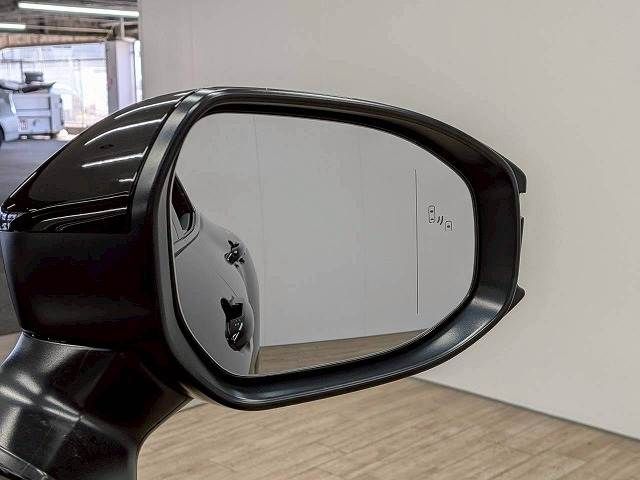CROWN SPORT