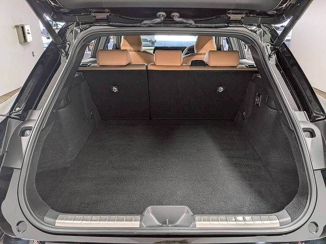 CROWN SPORT