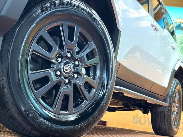 LANDCRUISER 250