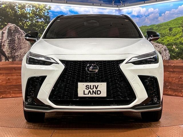 LEXUS NX350h