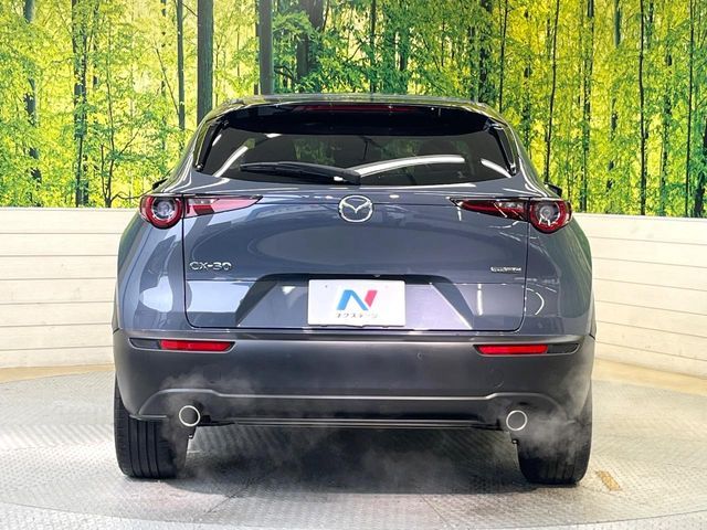 CX-30