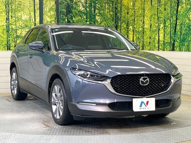 CX-30