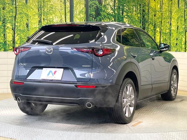 CX-30
