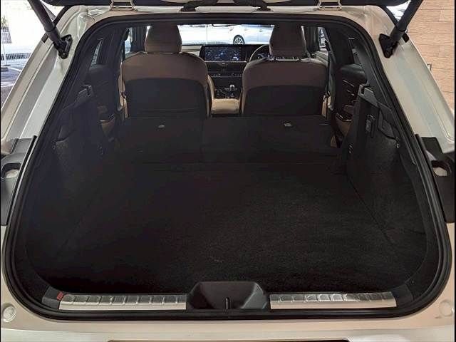 CROWN SPORT