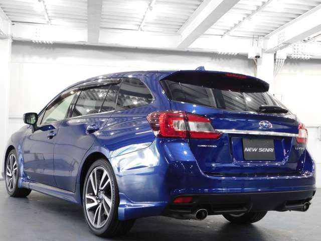 LEVORG