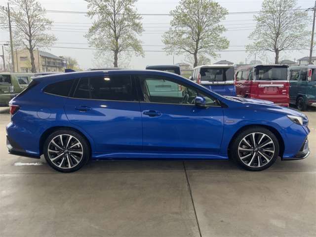 LEVORG