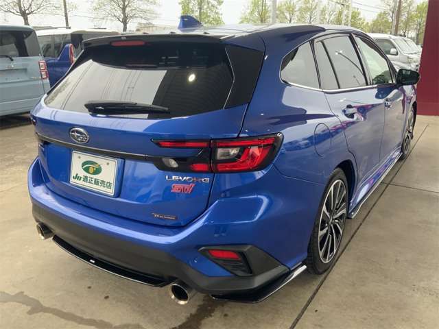 LEVORG