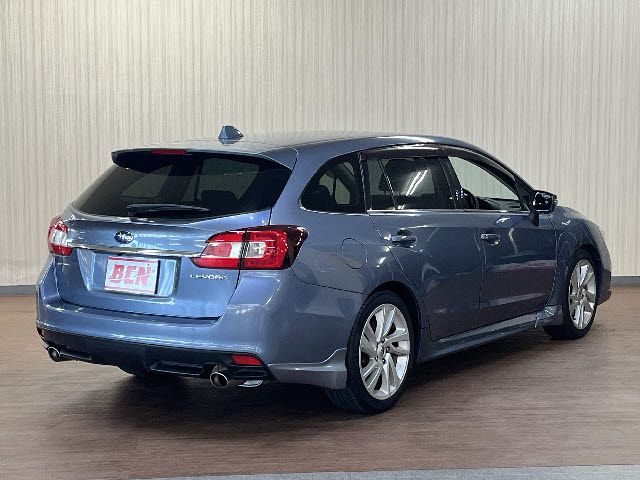 LEVORG
