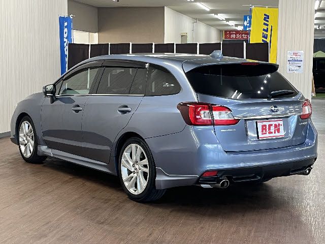 LEVORG