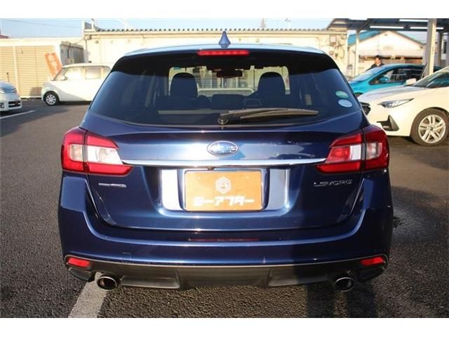 LEVORG
