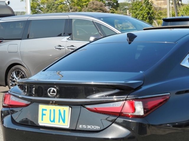 LEXUS ES300h