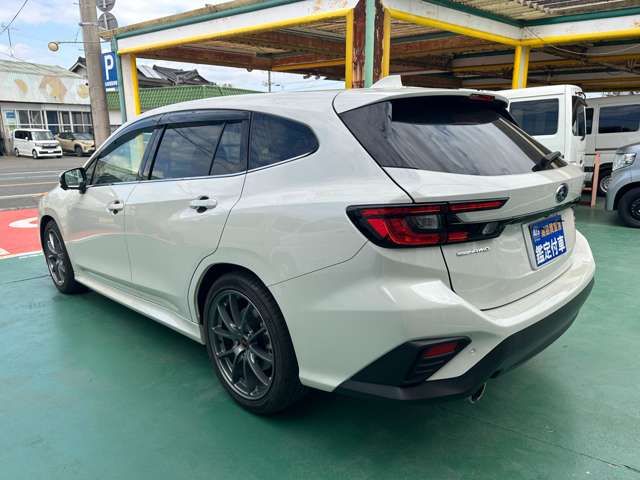LEVORG