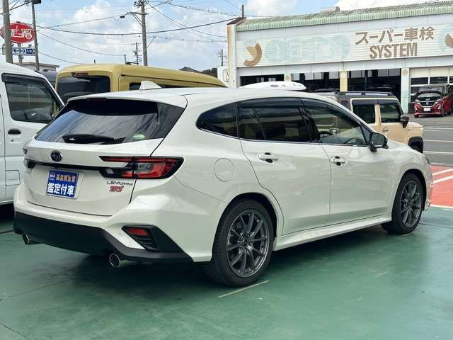 LEVORG