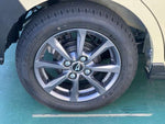 TANTO FAN CROSS