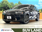 LEXUS UX250h