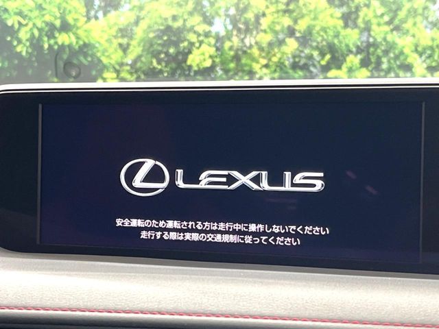 LEXUS UX250h