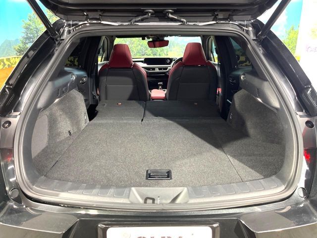 LEXUS UX250h