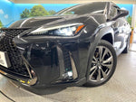 LEXUS UX250h