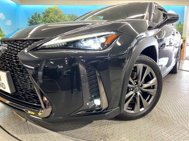 LEXUS UX250h