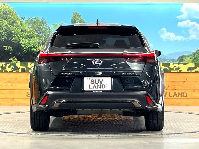 LEXUS UX250h