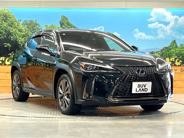 LEXUS UX250h