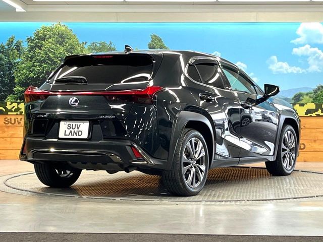 LEXUS UX250h