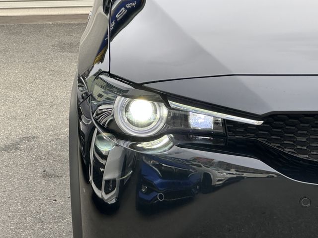 MX-30 Rotary-EV