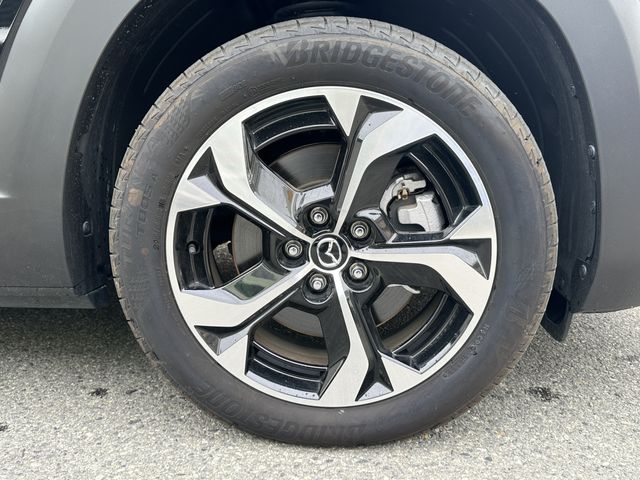 MX-30 Rotary-EV