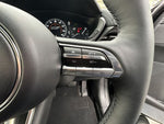 MX-30 Rotary-EV