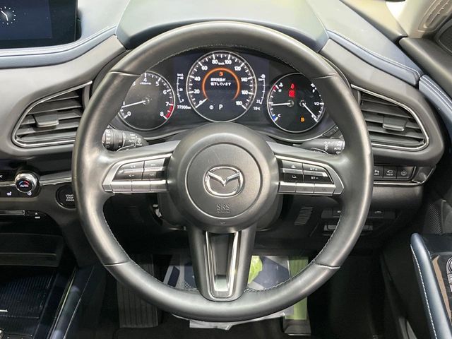 CX-30